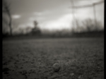 110314_gon_p6_04.jpg