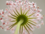 color0203.jpg